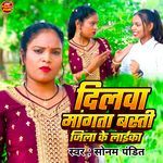 Dilwa Mangata Basti Jila Ke Laila