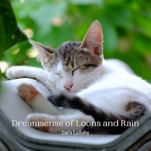 Soft Serenades cover art