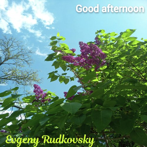 Good Afternoon cover art