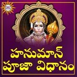 Hanuman Pooja Vidhanam (Live)