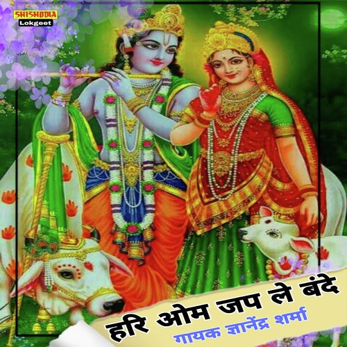 Hariom Japle Re Bande cover art