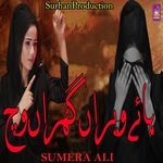 Hye Veeran Gharan Vich