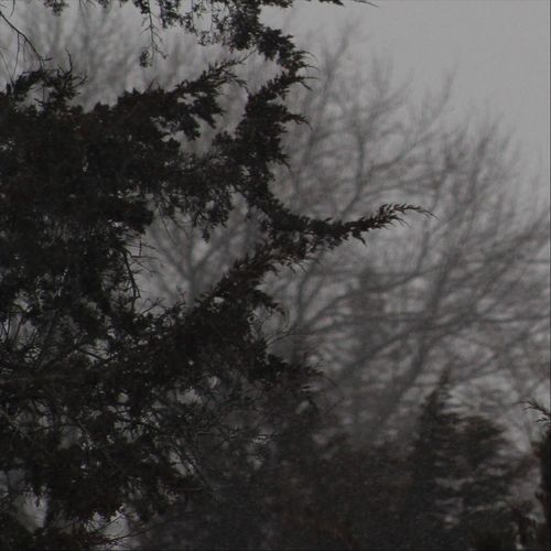 Mount Sinai cover art