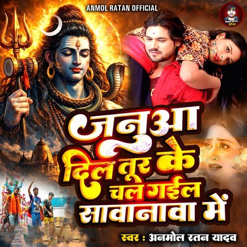 Januaa Dil Tur Ke Chal Gail Sawanava Me