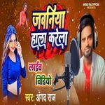 Jawaniya Hala Karela