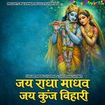 जय राधा माधव जय कुंज बिहारी (Lofi)