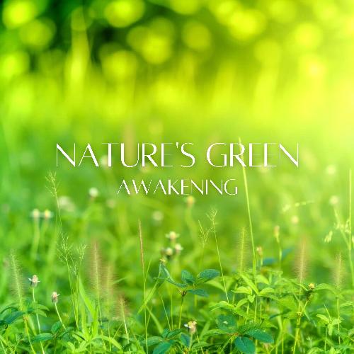 Nature's Green Awakening: Soothing Spring Atmosphere_poster_image