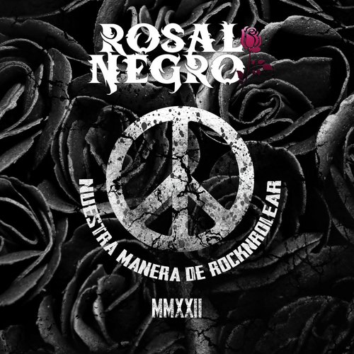 Amante Fiel cover art