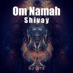 Om Namah Shivay