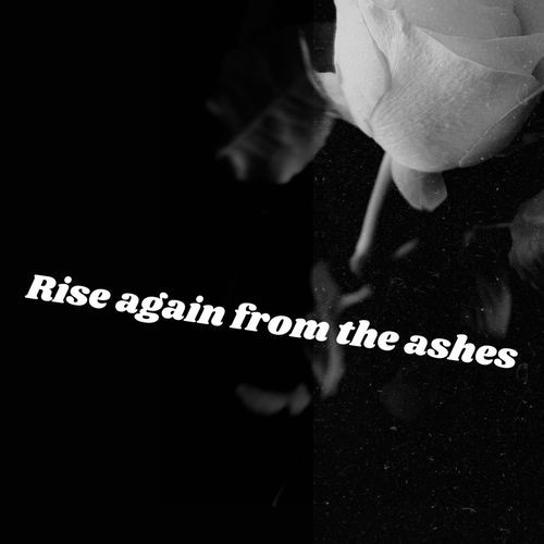 Rise again from the ashes