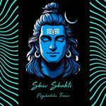 Divine Trance Of Kailash