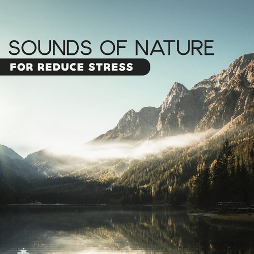 Sounds of Nature for Reduce Stress