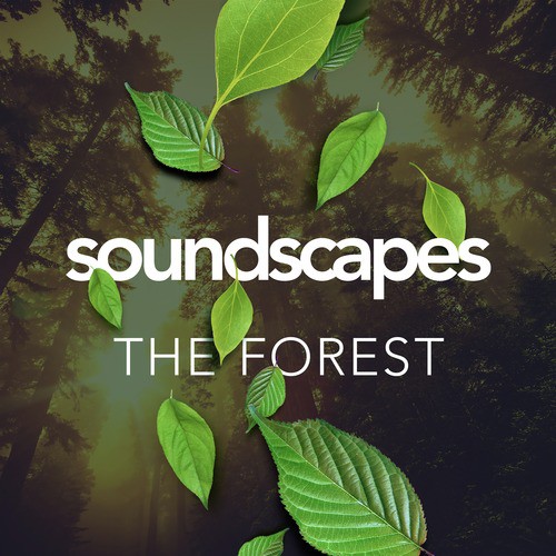 Soundscapes: The Forest