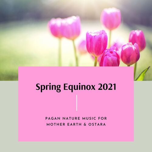 Spring Juice cover art