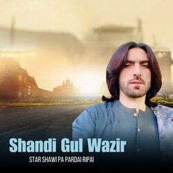 Star Shawi Pa Pardai Ripai