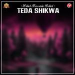 Teda Shikwa