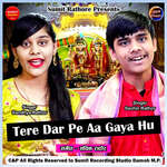 Tere Dar Pe Aa Gaya Hu O Shyam Murli Wale