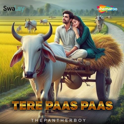 Tere Paas Paas