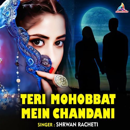 Teri Mohobbat Mein Chandani