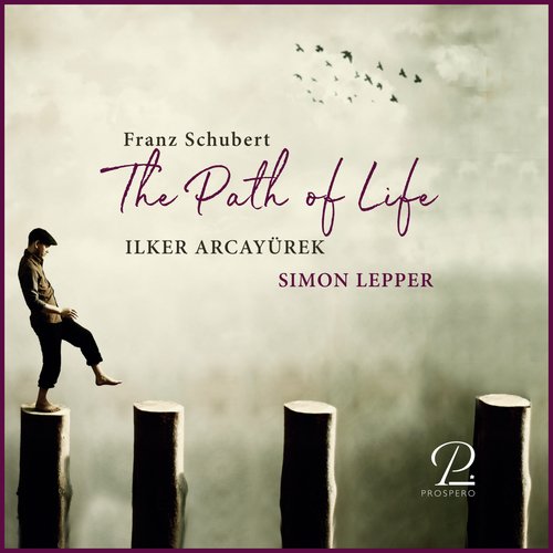 The Path of Life_poster_image