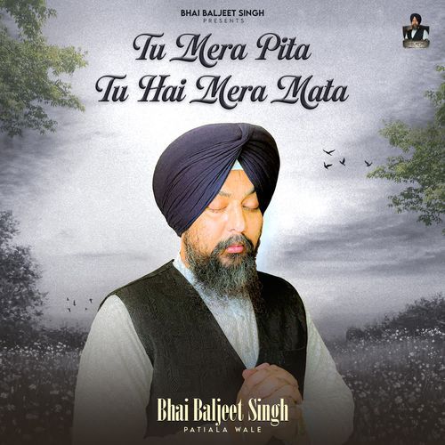 Tu Mera Pita Tu Hai Mera Mata