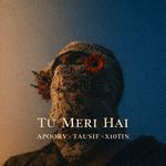 Tu Meri Hai