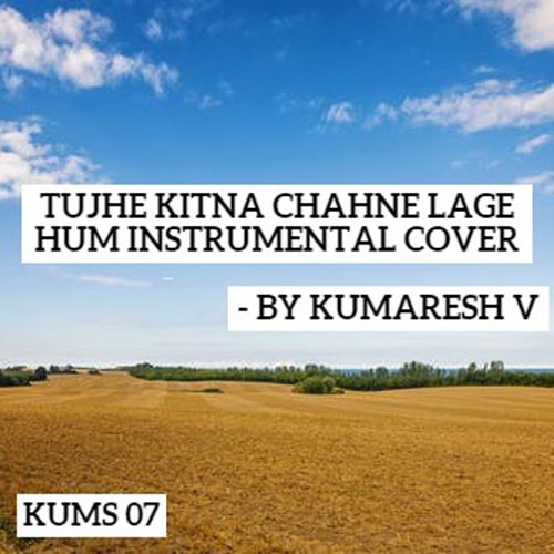 Tujhe Kitna Chahne Lage Hum (Instrumental)_poster_image