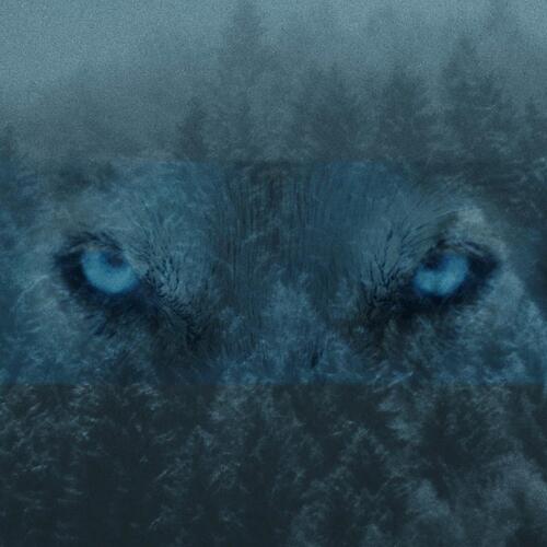 Vakna cover art