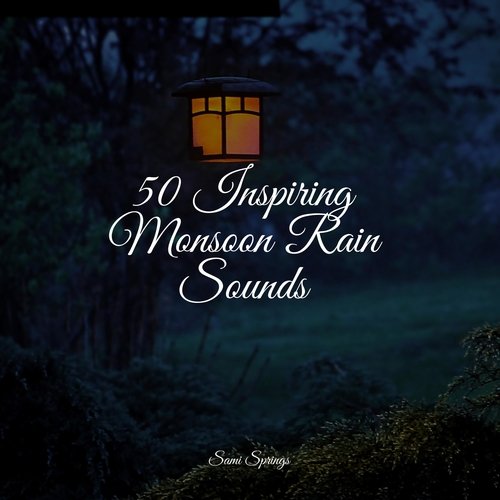 50 Inspiring Monsoon Rain Sounds