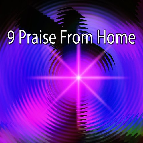 9 Praise from Home_poster_image