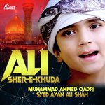 Ali Sher-e-Khuda