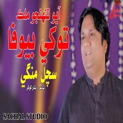 Ayo Tuhnjo Mulk Tokhe Bewafa