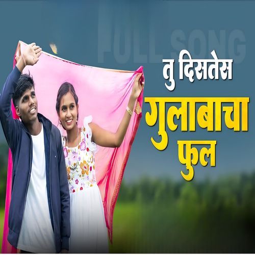 तू दिसतेस �गुलाबाचा फुल