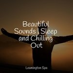 A State of Calm
