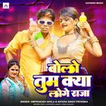 Bolo Tum Kya Loge Raja