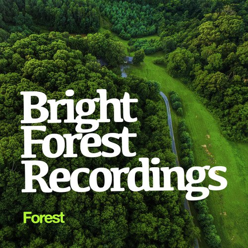 Bright Forest Recordings