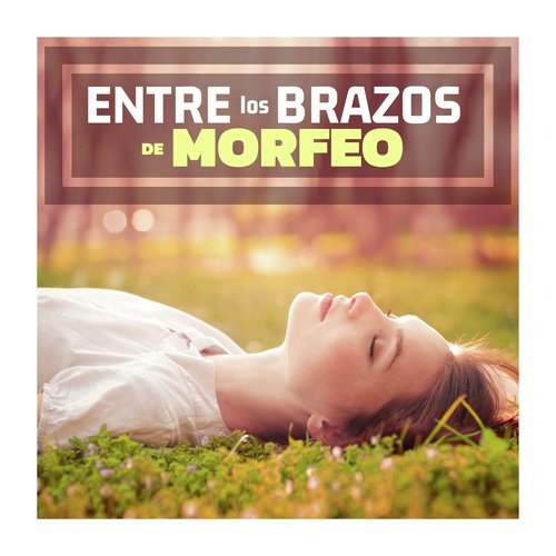 Serenidad y Armonia cover art