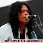 দুঃখিনী দুঃখ করোনা