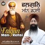 Falgun Man Rehsi artwork