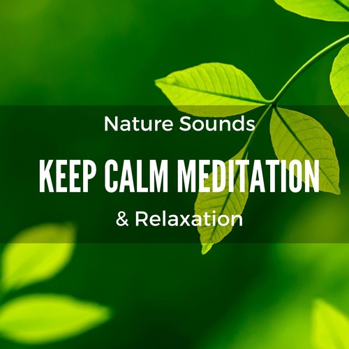 Soothe the Soul, Calm the Spirit (Peaceful Music)