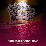 Mere Taje Shariat Hain