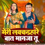Meri Lakkadhaare Baat Maanja Tu