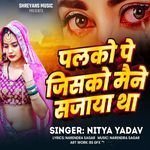 Palako Pe Jisako Maine Sajaya Tha