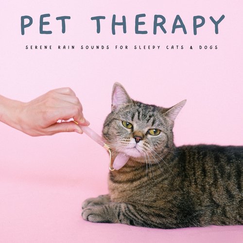 Sleepy Dogs cover art