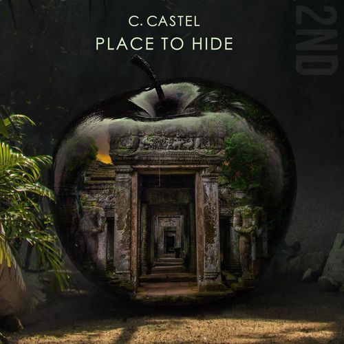Place to Hide cover art