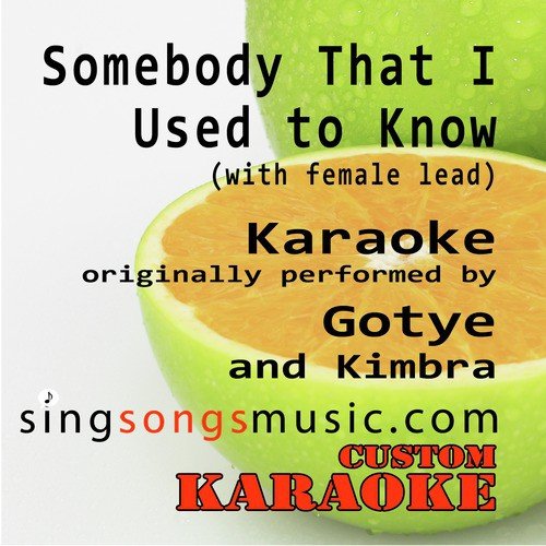 Somebody That I Used to Know (with Female Lead) [Originally Performed By Gotye and Kimbra] [Karaoke Audio Version]