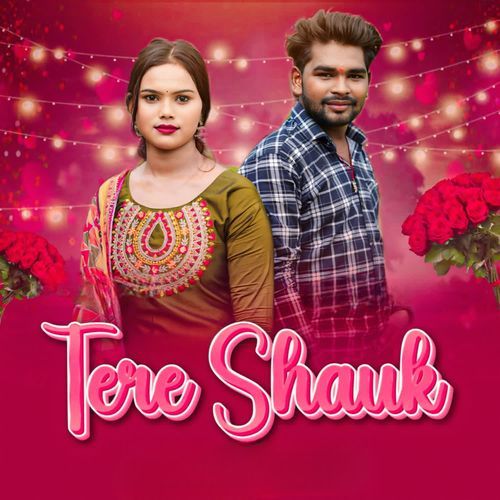 Tere Shauk