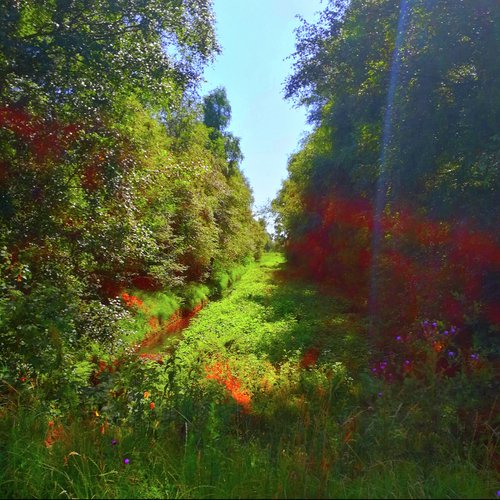 stnemoM fo hcnuB lufruoloC tsoM ehT cover art