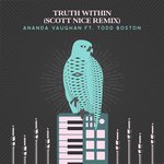 Truth Within (Scott Nice Remix)