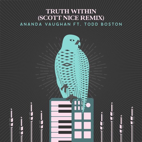 Truth Within (Scott Nice Remix)